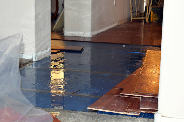 Professional Water Damage Restoration technician working in Key Largo, FL
